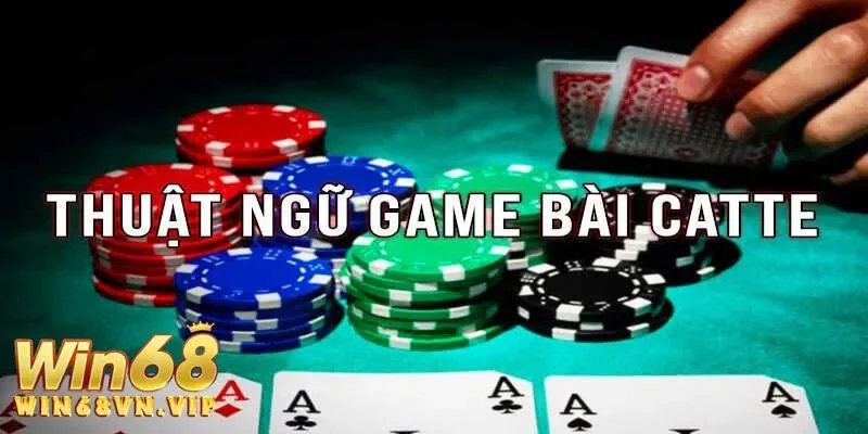 Các chiến lược và kỹ thuật trong bài catte