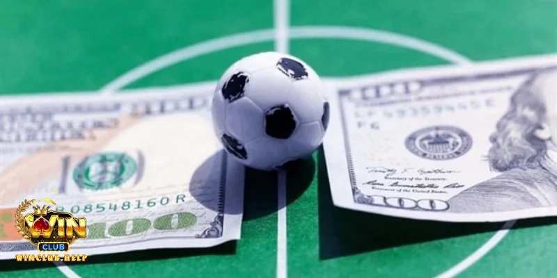 Giải mã vấn đề pháp lý: Cá độ trên mạng có bị bắt không?